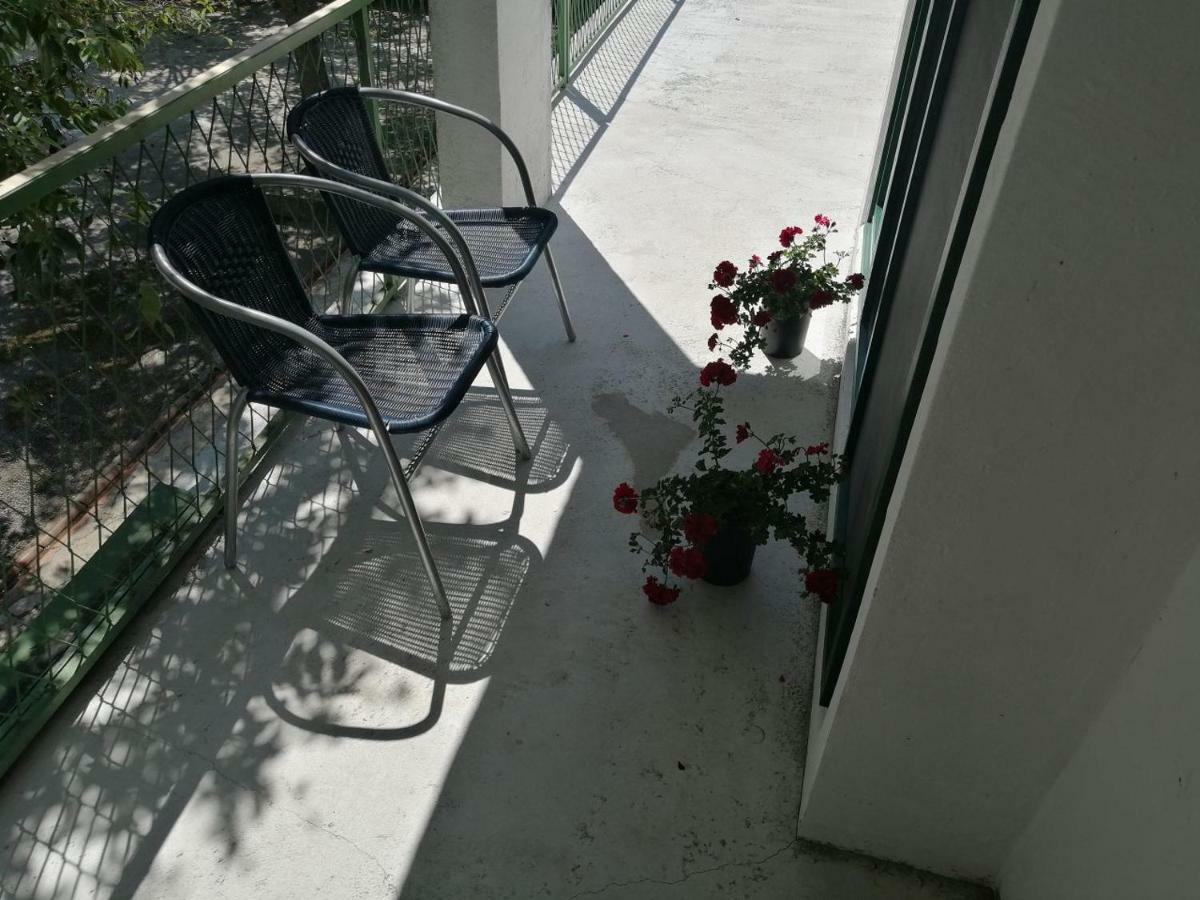 Apartman Milica Golubic  外观 照片